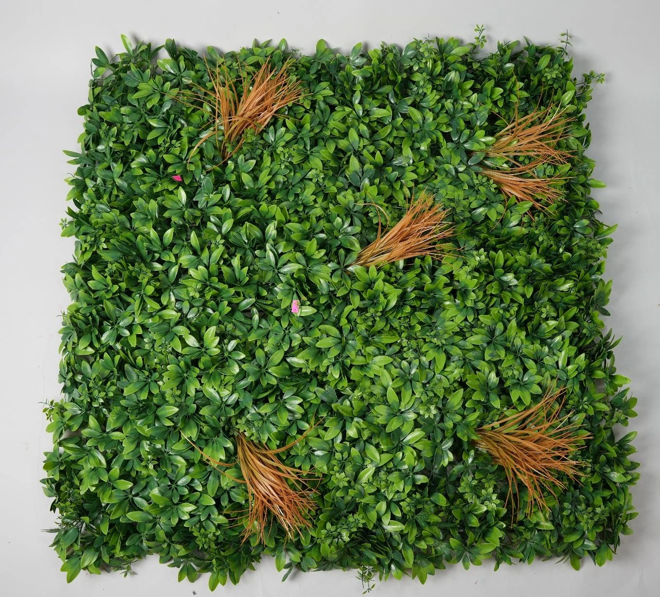Green Wall 100x100cm